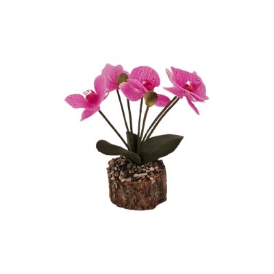 0ed0cc17-7163-4f81-9af6-51411e1bf1cf