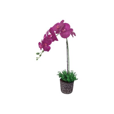 20d6d99e-f094-4247-b148-77d279807abf