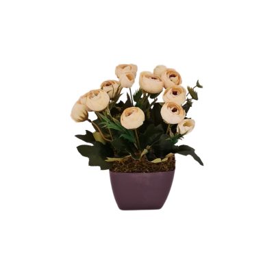 79210c5f-95ce-42a4-8621-2e5a32754203