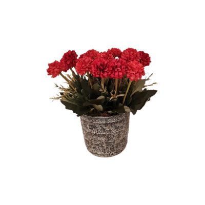 7de7c6c4-2fdc-4219-917d-1502b8d9a7c6