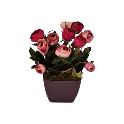 baff7930-0230-4fd5-b5f2-f75be6bc7893