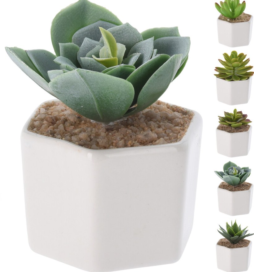 321000100_COMPOSITION_001_