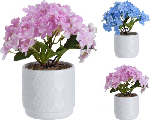 495200000_COMPOSITION_001_