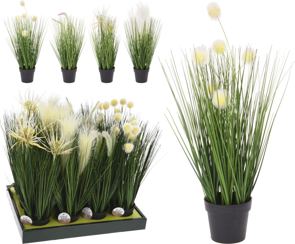 317220070_COMPOSITION_001_