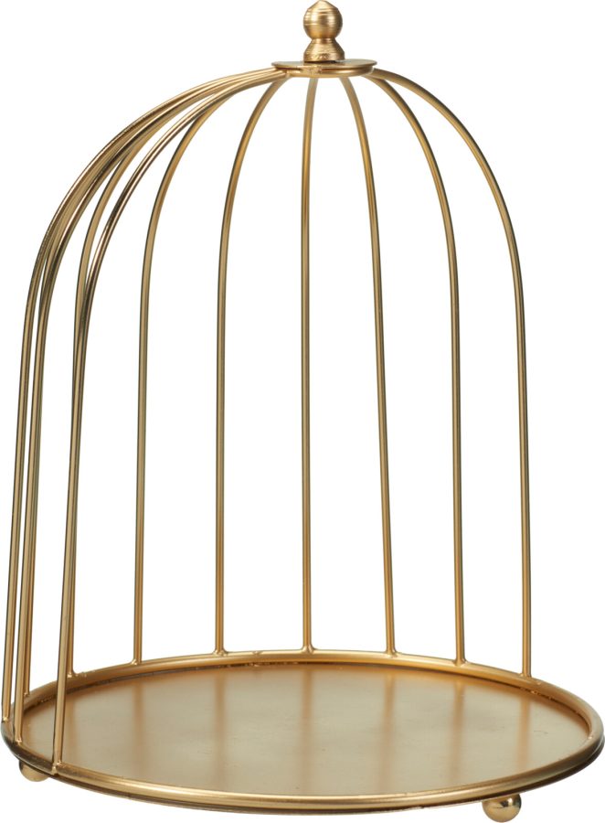 A67102790_ASSORTED_001_