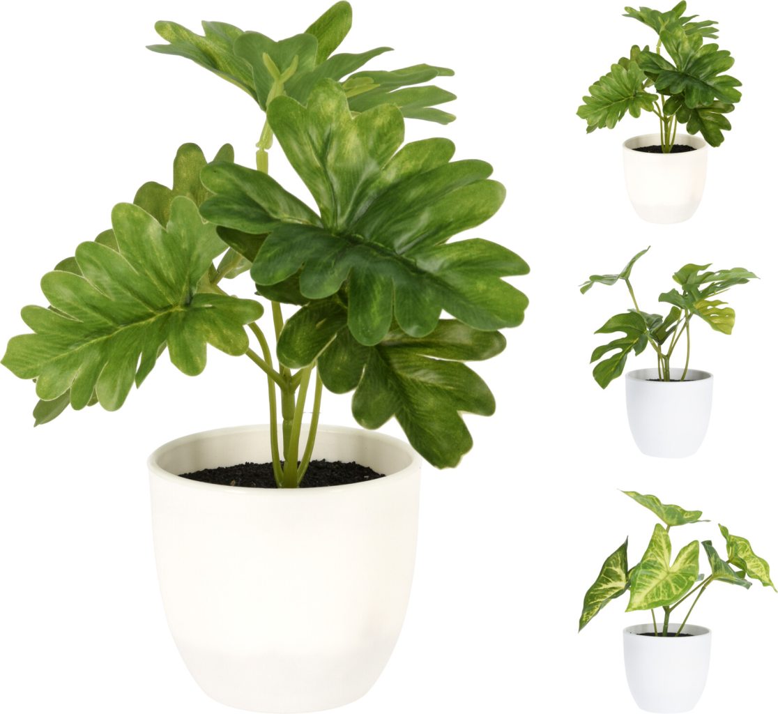 318001050_COMPOSITION_001_