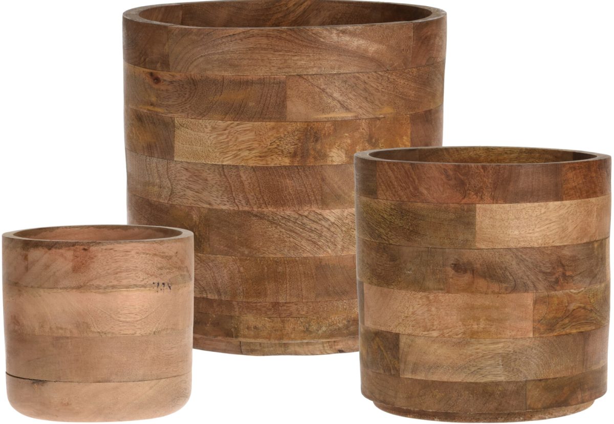 A55900000_COMPOSITION_001_