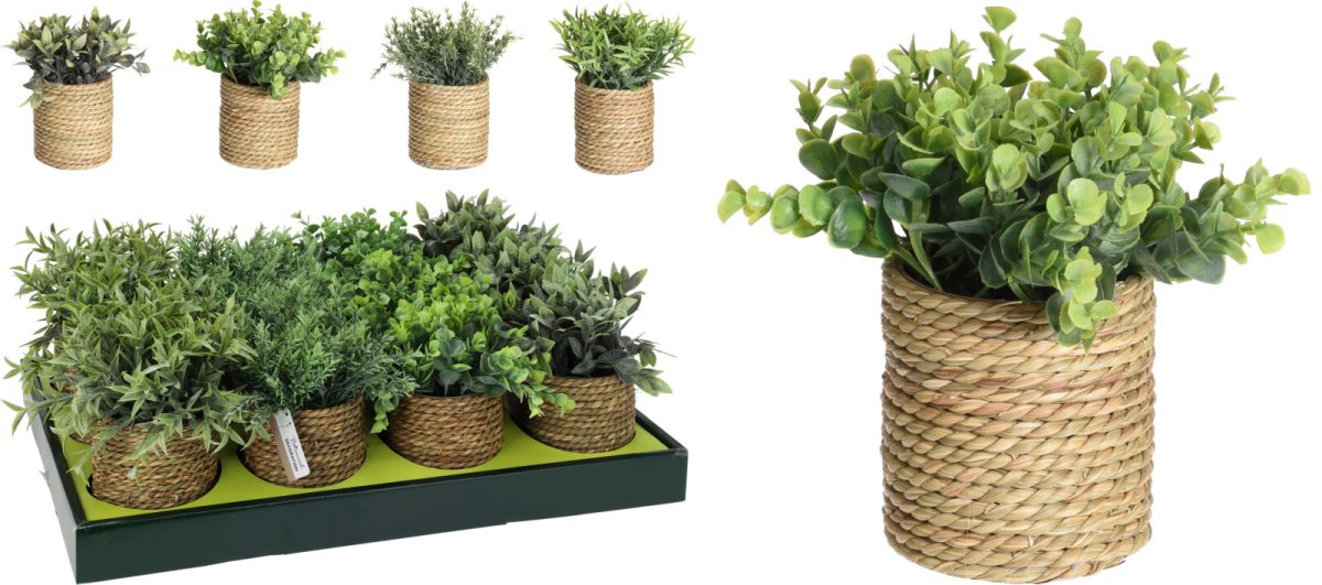 317221010_COMPOSITION_001_